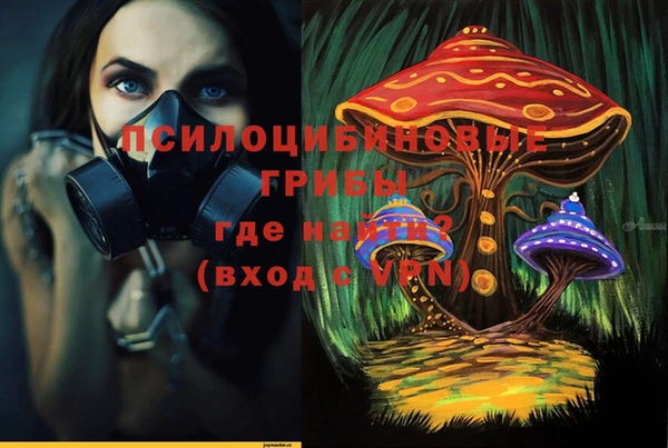 дурь Новодвинск