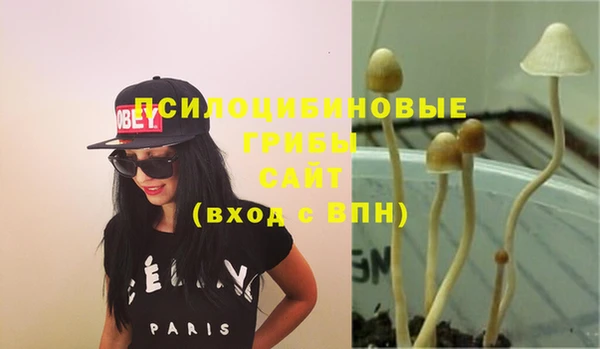 дурь Новодвинск