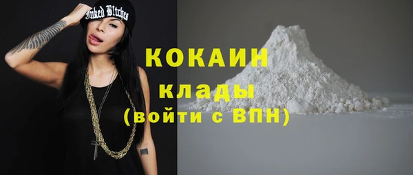 бошки Новозыбков