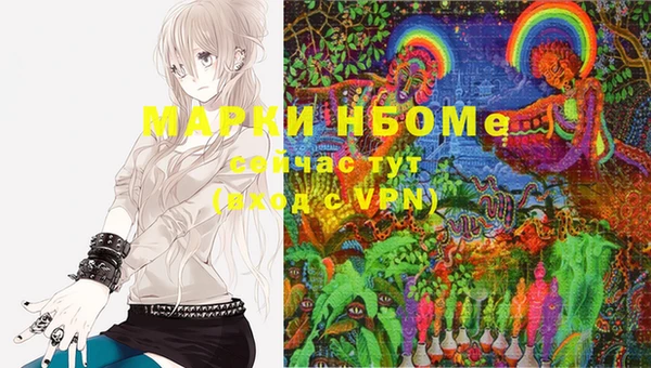 бошки Новозыбков