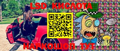 МДПВ Камышлов