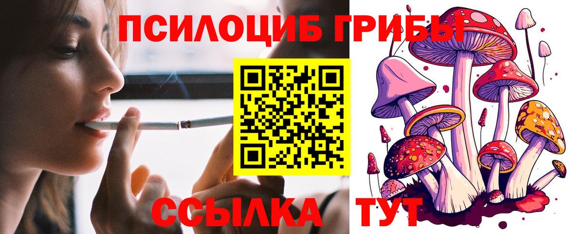 Нижний Тагил  Галлюциногенные грибы Psilocybine cubensis  Вход с VPN 